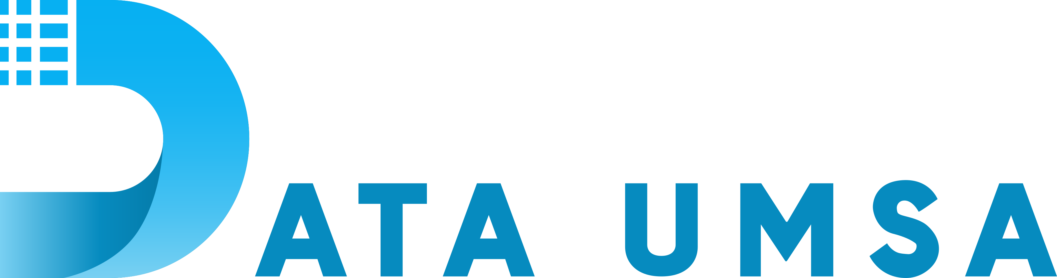 Logo DataUMSA